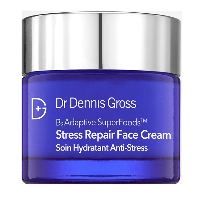 Dr Dennis Gross BAdaptive SuperFoods Stress Repair Face Cream